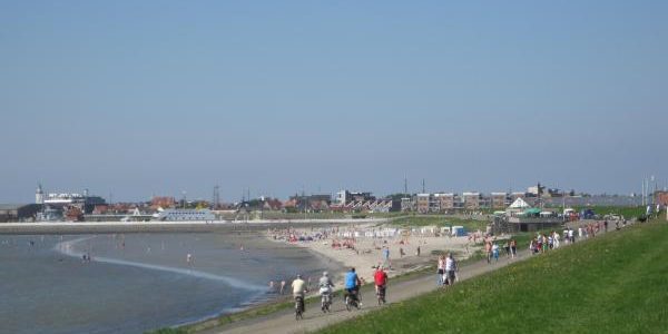 Wandelen of fietsen langs de Waddenzee