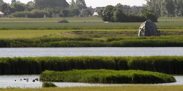 Belangrijk broedgebied bij Harlingen